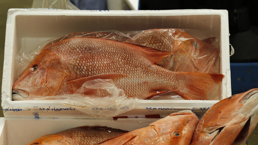 Beijing Bans Imports of Taiwanese Grouper