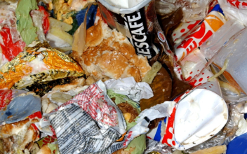 Tech Turns Food Waste Into Raw Materials