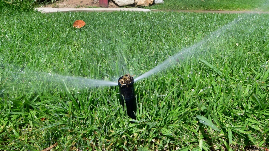 California Imposes Grass Watering Ban