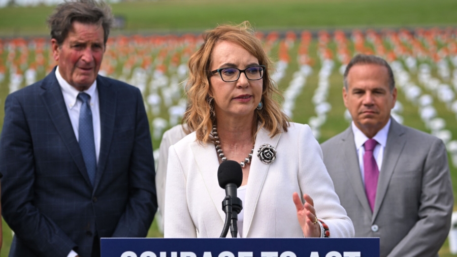 Democrats Push For Tighter Gun Laws at DC Memorial