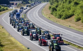 Dutch Farmers Rally Against Plans to Cut Emissions
