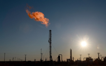 Environmentalists Sue Biden to Stop Drilling