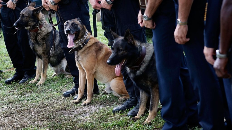 Program to Care for Retired Police Dogs