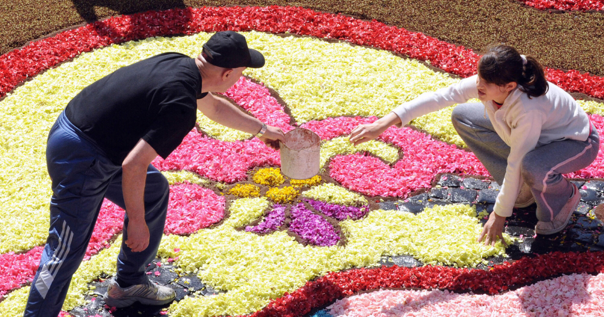 Flowers Brighten the Streets of Genzano, Italy NTD