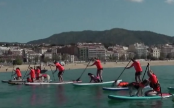 Dogs Participate in Paddle Board Race