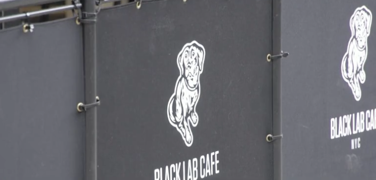 New York's First-Ever No-Leash Cafe: Owners