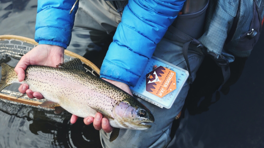 Bacteria Infects 350,000 Fish: California Wildlife