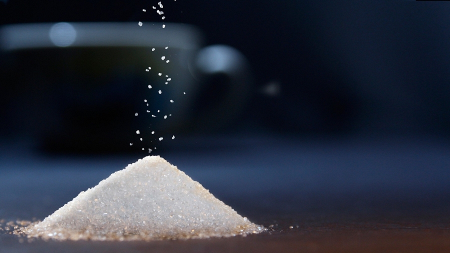 Why Do We Love Sugar?