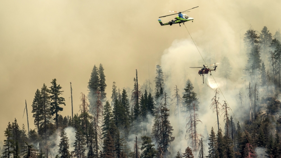 California Firefighters Gain Against Yosemite Wildfire as Crews Try to Save Sequoias
