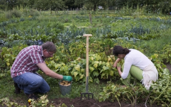 How Gardening Is Good for Your Muscles and Mood