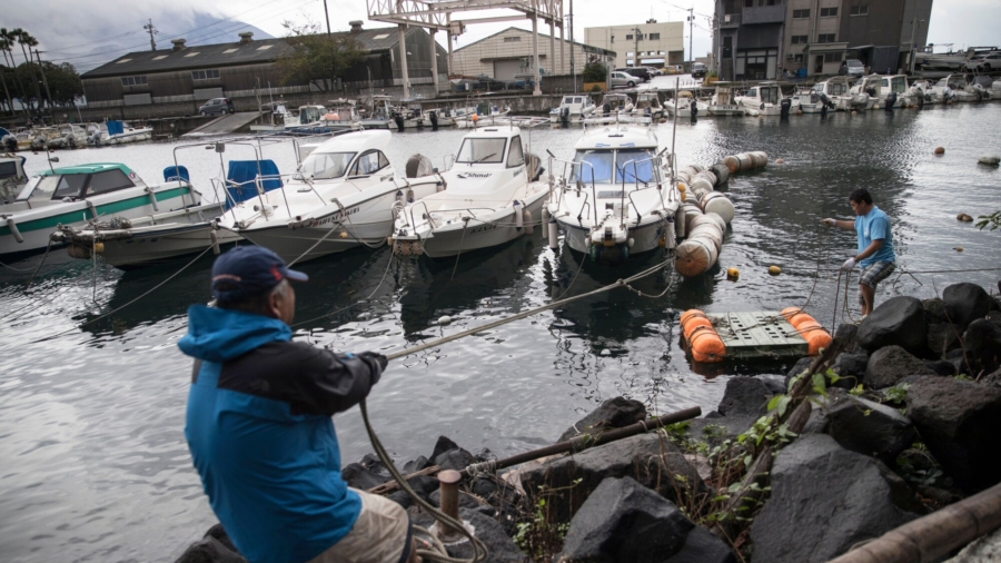 Rare Giant Fish Reappears in Japan's Waters