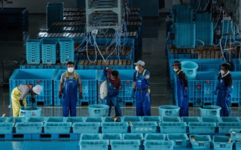 Overfishing Problematic for Fisherman Using Traditional Methods in Japan