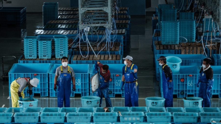Overfishing Problematic for Fisherman Using Traditional Methods in Japan
