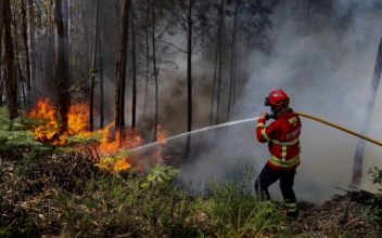 Wildfires Hit Portugal, Spain Amid Heatwave