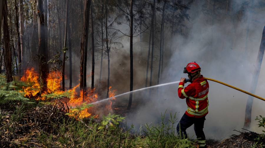 Wildfires Hit Portugal, Spain Amid Heatwave