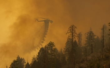 Oak Fire Not a Threat to Yosemite: Cal Fire