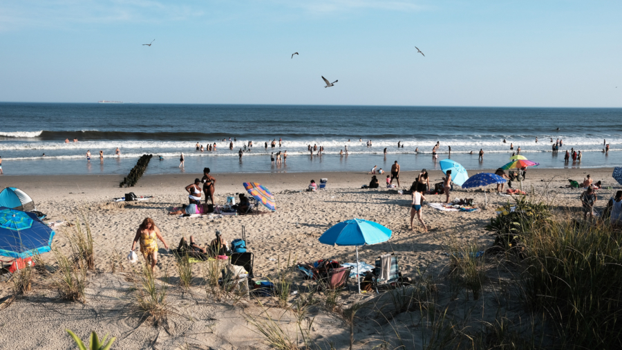 Shark Sightings Increase Off New York Coast