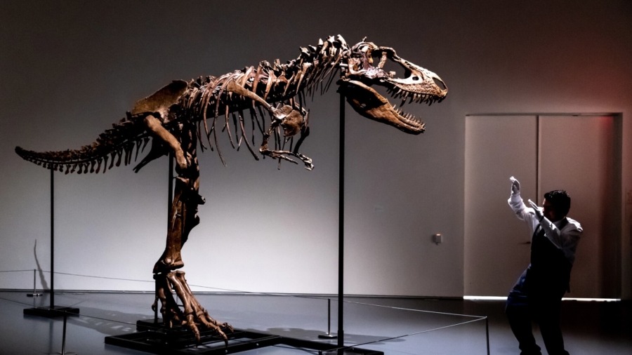 76 Million-Year-Old Dinosaur Skeleton to Be Auctioned in NYC