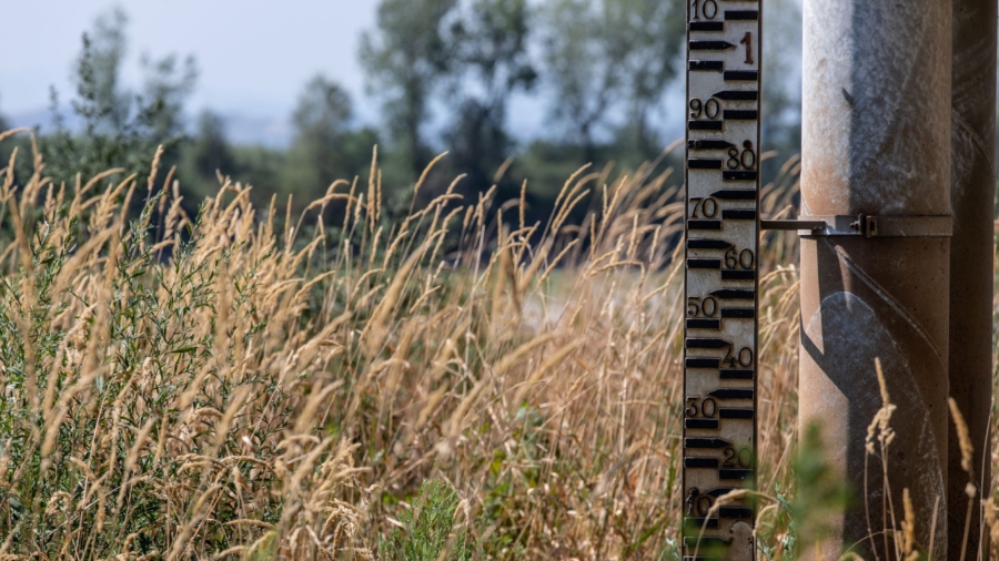 Po River Valley Rice Production Under Threat