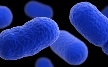 Mysterious Listeria Outbreak Across US Raising Concerns, No Source Identified Yet, Says CDC