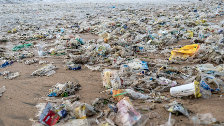 Devices Trap Waste Before Entering the Ocean