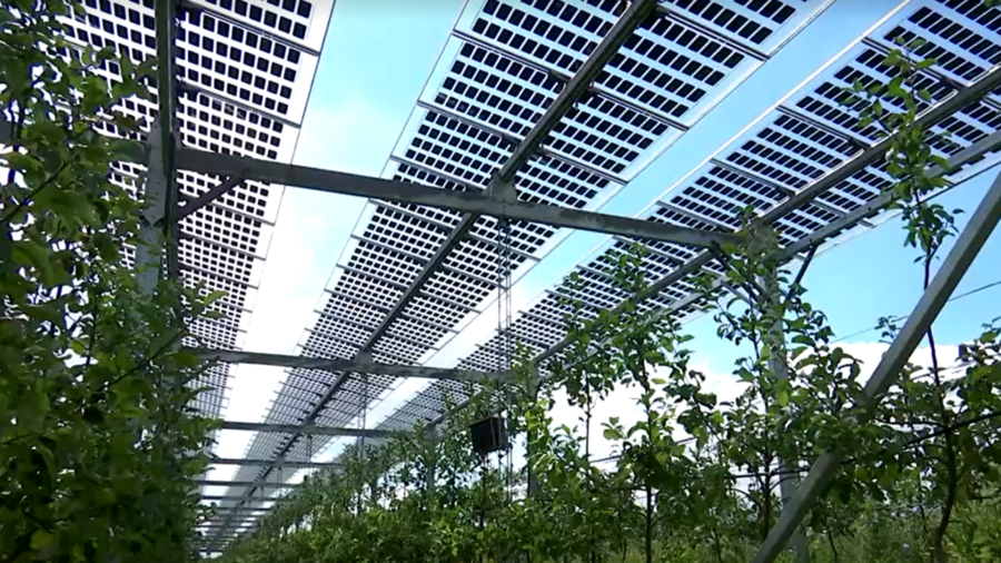 German Project Produces Apples, Electricity