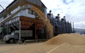 Russia, Ukraine Reach Deal on Restarting Grain Exports, Turkey Says