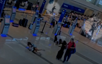 Police Release Video of Dallas Airport Shooting