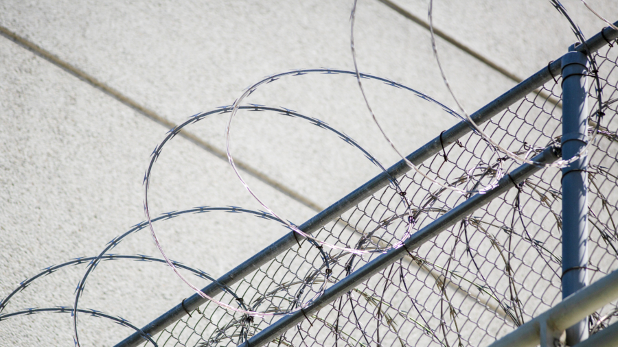 'Quality of Life Crimes' Usually Committed Before More Heinous Ones: Former Immigration Judge