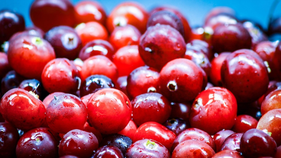 Foods That Feed Healthy Teeth—or Cavities