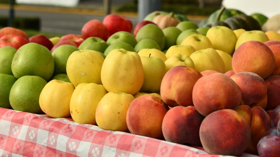 Family Farm Discusses Economic Challenges
