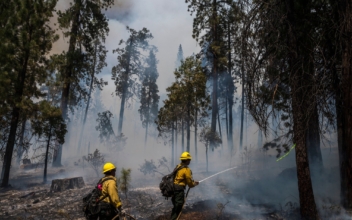 Yosemite Wildfire Threatens Sequoia Trees