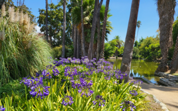A Little-Known Botanical Oasis in Los Angeles