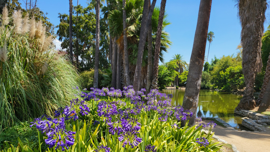 A Little-Known Botanical Oasis in Los Angeles