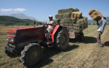 Albania Farmers Struggle With Price Hikes