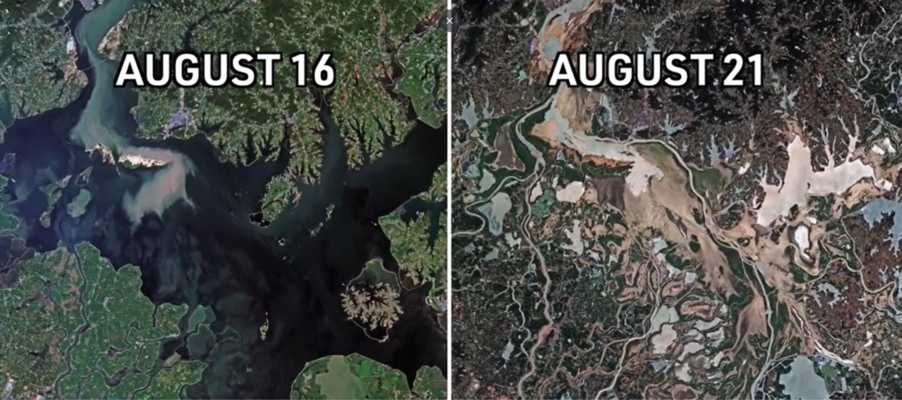 Drought Drying China's Largest Freshwater Lake | NTD