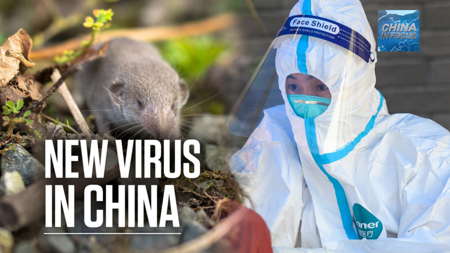 New Virus in China With Animal to Human Transmission