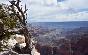 Visitor to Grand Canyon’s North Rim Slips, Falls and Dies