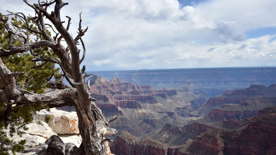 Visitor to Grand Canyon’s North Rim Slips, Falls and Dies