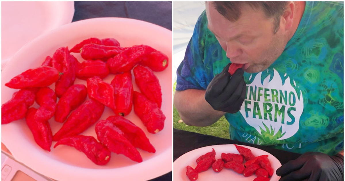 California Man Breaks Guinness World Record SpeedEating 17 Ghost Chili