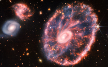 Webb Telescope Captures Cartwheel Galaxy
