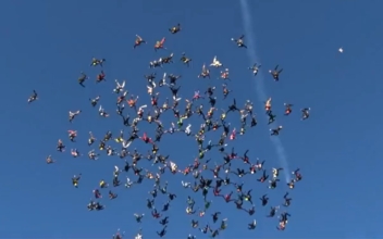 Skydivers Near Chicago Attempt World Record