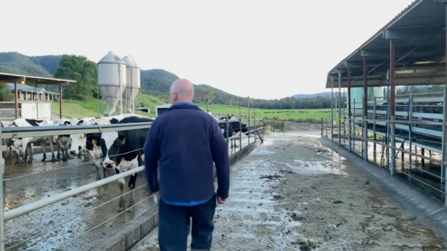 Production Costs Hit Australian Dairy Farmers