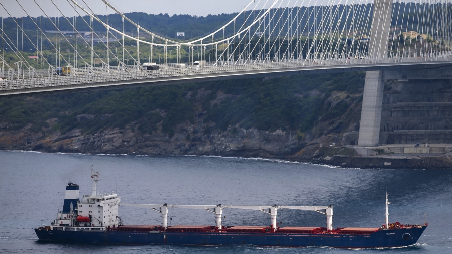 1st Grain Ship to Leave Ukraine Passes Inspection in Turkey, En Route to Lebanon