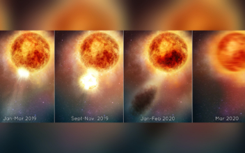 Supergiant Betelgeuse Had a Never-Before-Seen Massive Eruption
