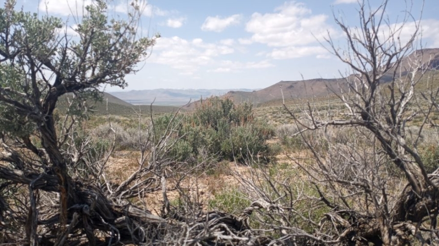 Native Tribes Sue Federal Agency for Permitting Lithium Mining on Sacred Land