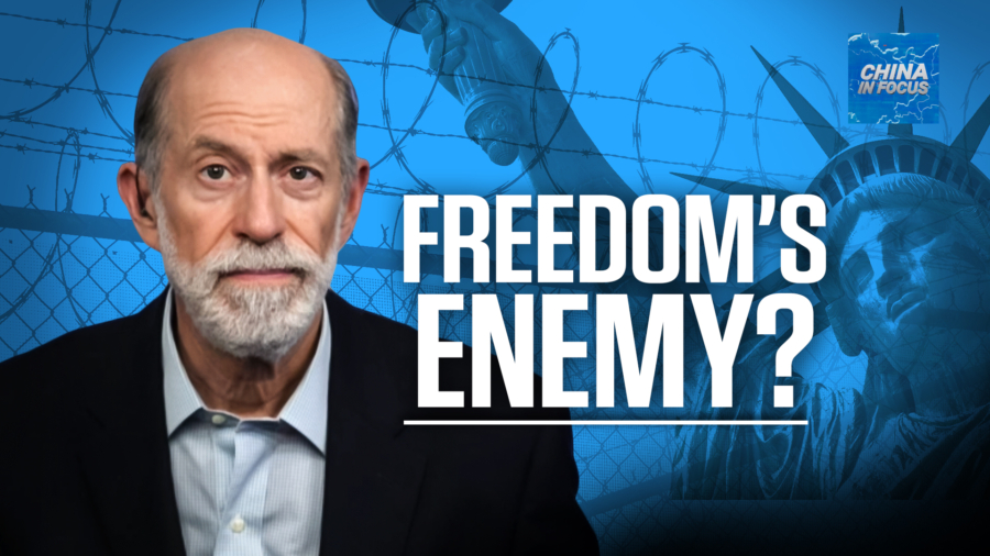 'You're Either Standing for Freedom, or You're With Freedom's Enemies, You Have to Choose': Gaffney
