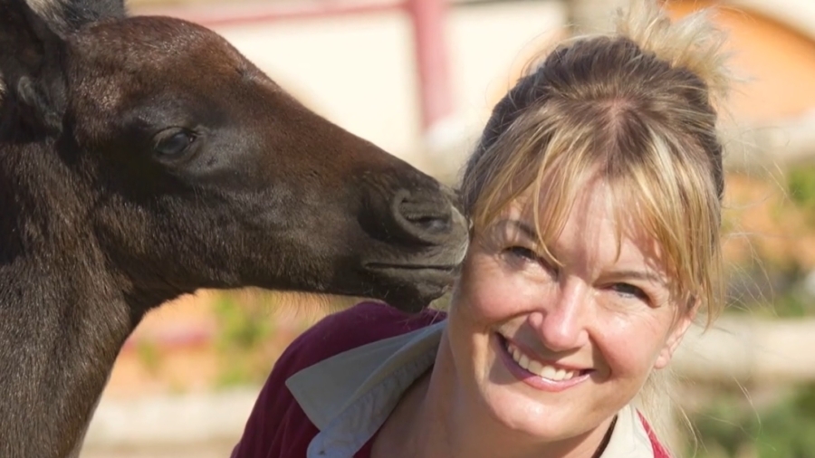 Horse Whisperer: TV Reporter Gives Up Career to Photograph Horses