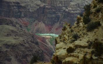 1 Dead After Boat Flips on Colorado River in Grand Canyon National Park