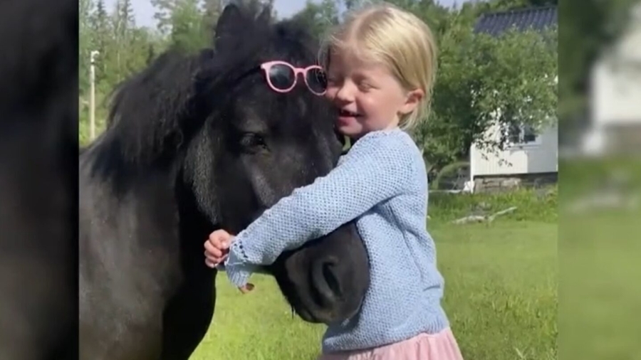 The Playful Bond Between a Girl and Her Miniature Horse